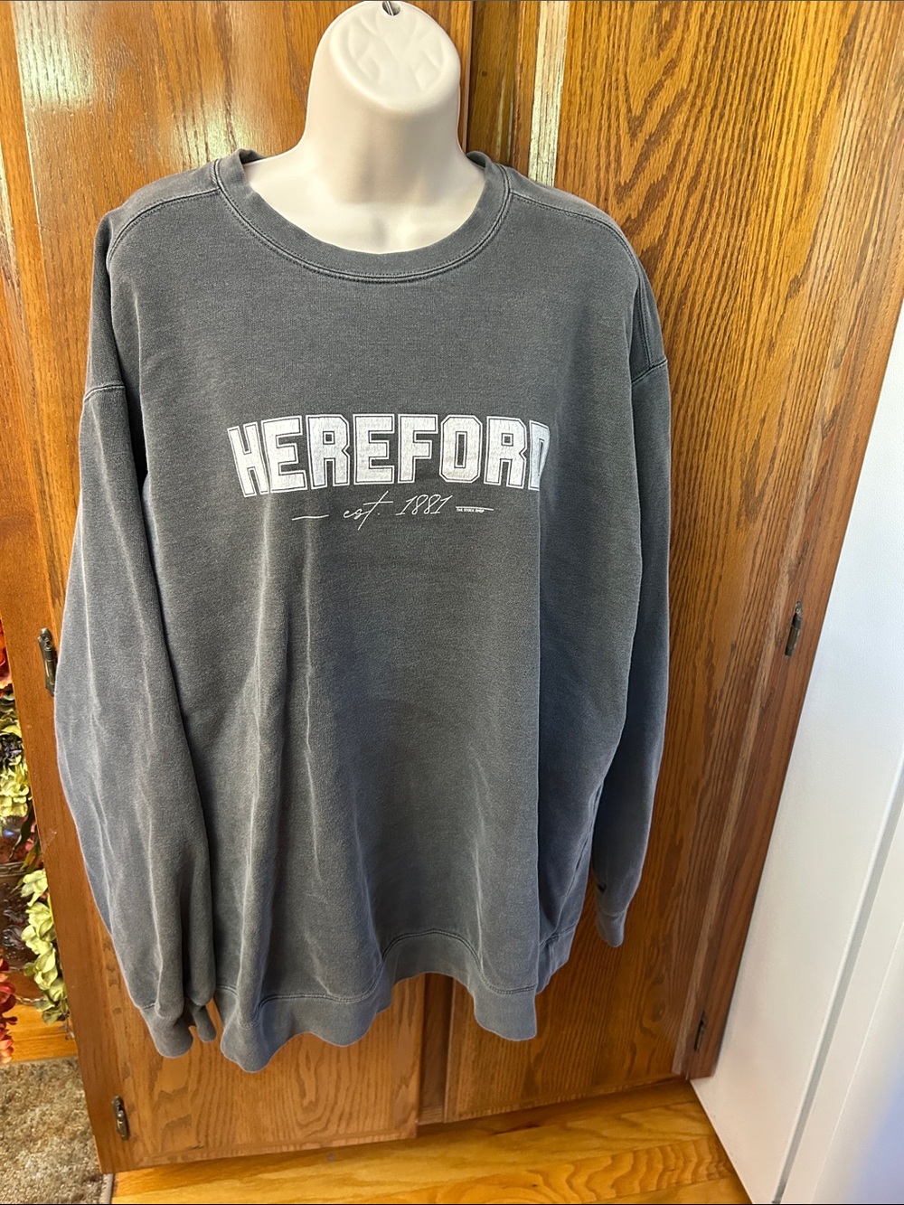 Comfort Colors Men's Crewneck Sweatshirt - Charcoal